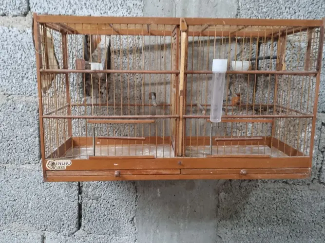 Gaiola 60 por 20 com divisória 
