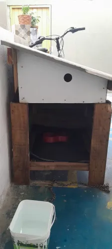 Estou doando essa casa para cachorro 