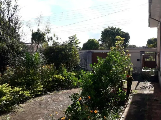 Terreno à venda, 539 m² por R$ 450.000,00 - Vila Martins - Rio Claro/SP