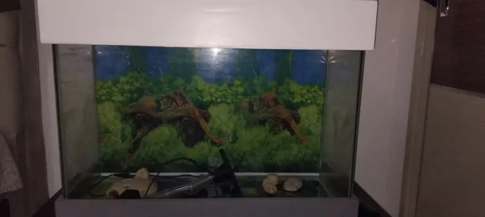 Aquário 100 litros