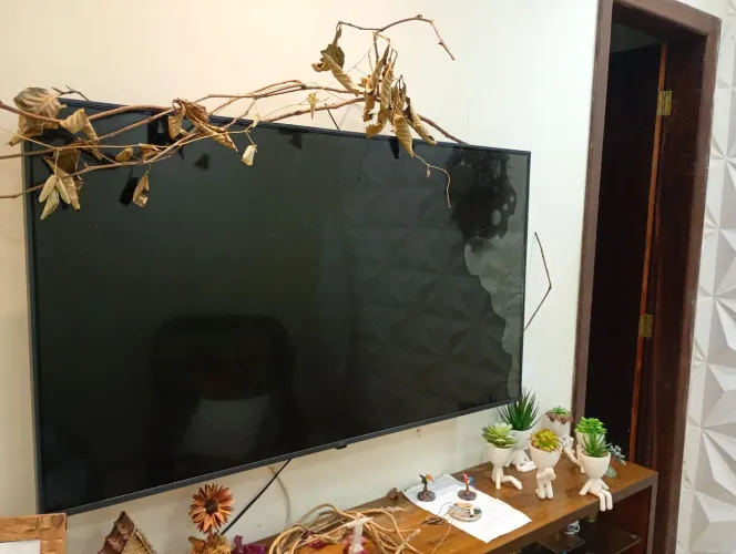 TV LG 50 polegadas com a tela quebrada