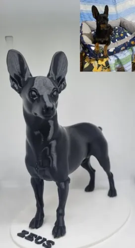 Seu cachorro em 3D