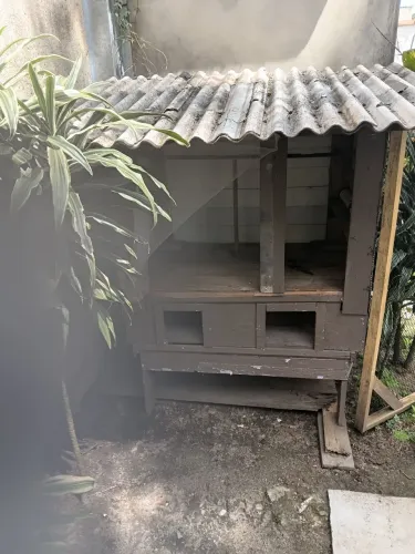 Galinheiro