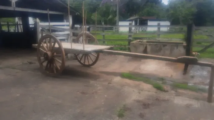Carroção para Bois