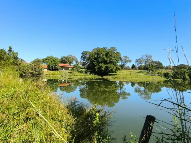 Fazenda a venda em Goiás Velho - Goiás!!!