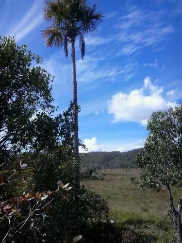 Fazenda - Teresina de Goiás