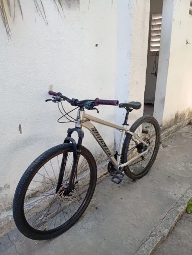 Bicicleta aro 29