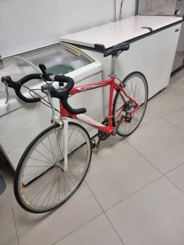 Bicicleta RTC1 VICINI