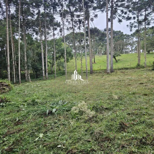CHÁCARA À VENDA MANDASSAIA | CAMPINA GRANDE DO SUL REF: 1291