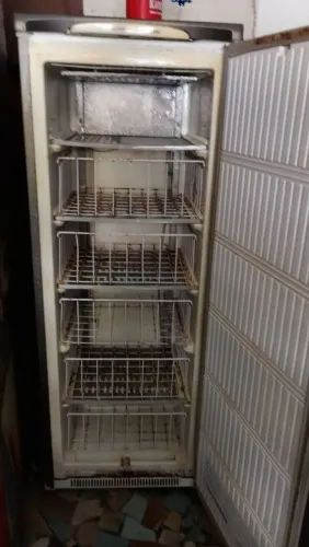 Vendo freezer vertical envelopado funcionando perfeitamente. Entrega nas proximidades 