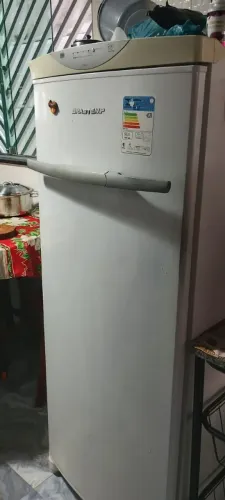 Freezer vertical