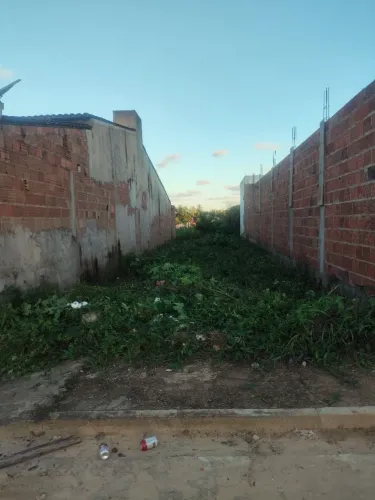 Terreno 5×25