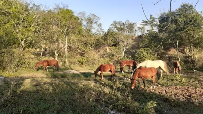 Chácara com 1.560 m²
