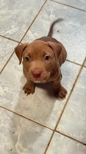 Pit monster