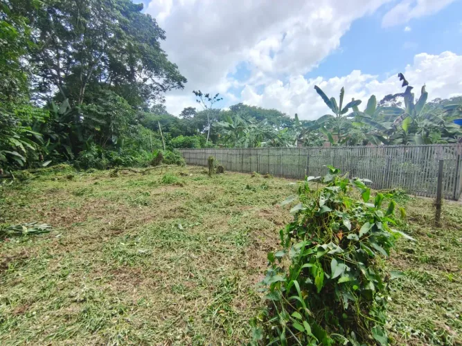 Vendo terreno em Murinin/ Benevides