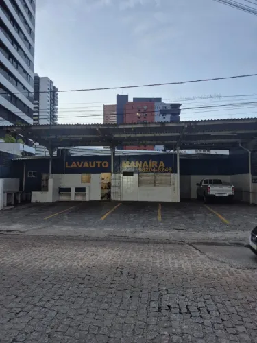 Auxiliar de lavador
