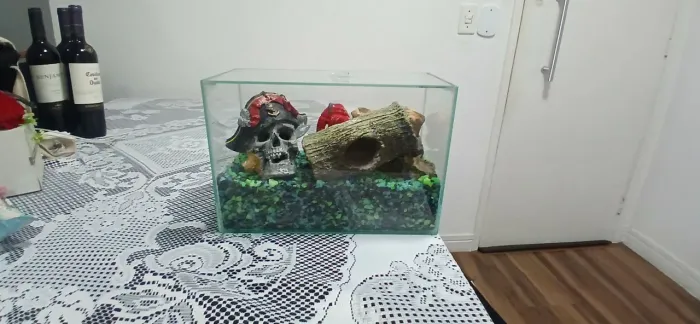 Aquário de peixes 