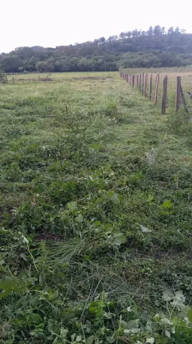 Excelente terreno as margens da rodoviá MG 459