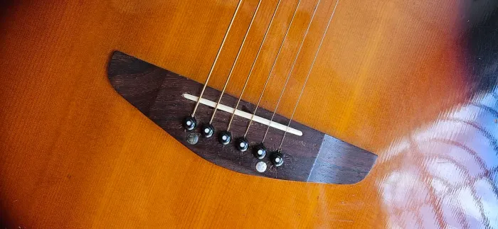 Violao tagima