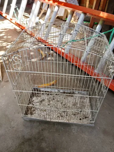 Essas três pra vender hoje no precinho