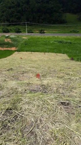 Terreno à venda, 1000 m² por R$ 96.000,00 - Portal de Belmiro Brada - Belmiro Braga/MG