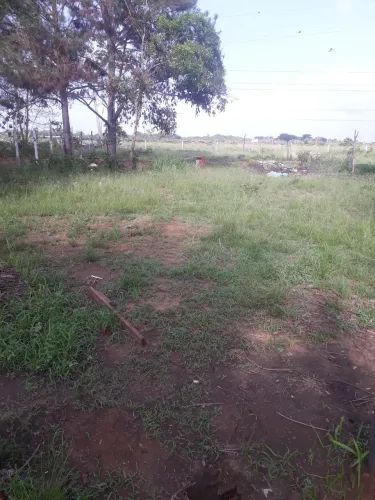 Terreno muito grande  com  uma casa 