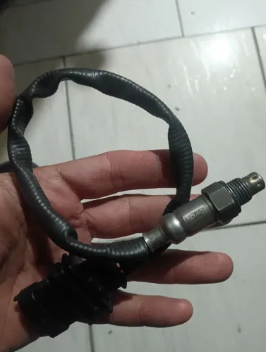 Sonda TVS