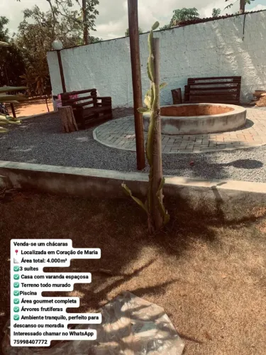 VENDE-SE CHÁCARA EM CORAÇÃO DE MARIA