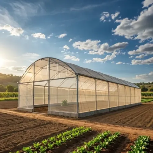 ESTUFA AGRÍCULA 10L X 51C X 4A