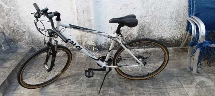 bicicleta