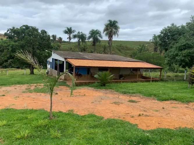 Fazenda 31 hectares escriturada Girassol - Go
