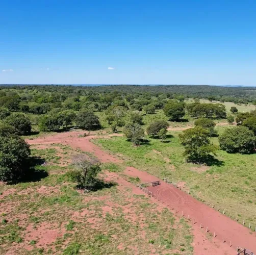 COD433- FAZENDA À VENDA 667 HECTARES RIO NEGRO/MS