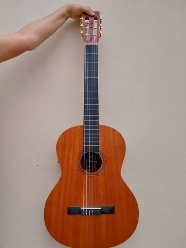 Violão eletroacústico Strinberg Série Forest Modelo FS3C CMGS 