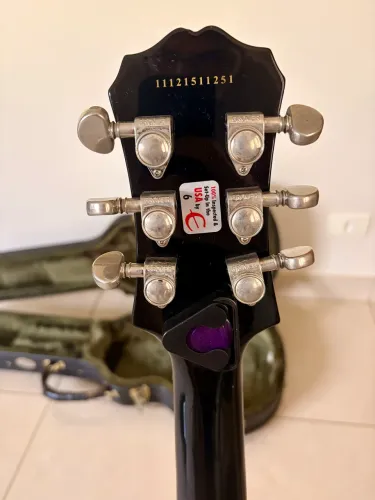 Guitarra Les Paul Epiphone Standard + Hardcase