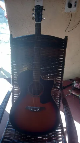 Tagima Woodstock TW-29