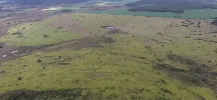COD518- FAZENDA Á VENDA DE 310 HECTARES NA REGIÃO DA CABECEIRA DO APA PONTA PORÃ/MS