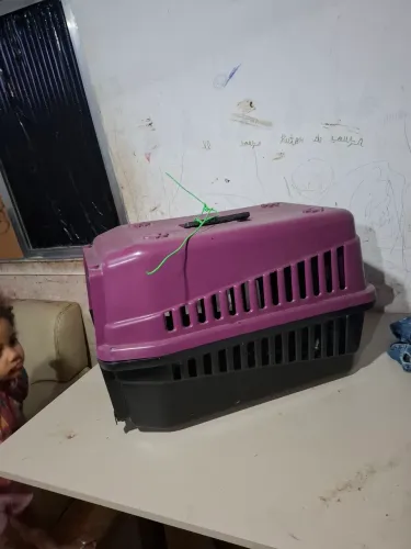Caixa de transporte para gato e cachorro