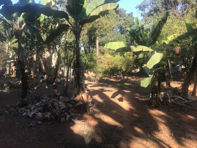 Lote no Bairro Braunas