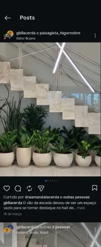 Plantas vasos substratos seixo grama viveiro em geral