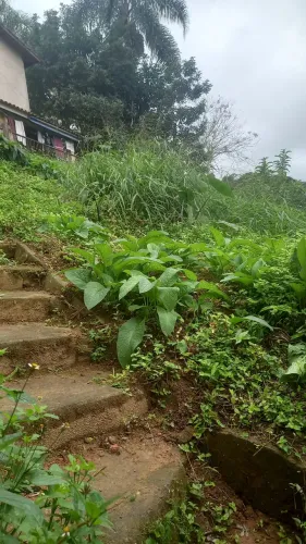 Vendo esse terreno no centro