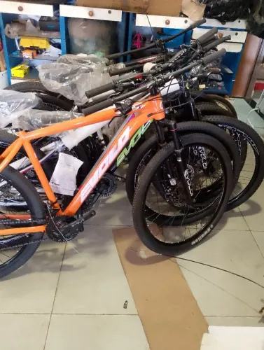 Bicicleta 29 evolo X várias cores entrego hoje nova