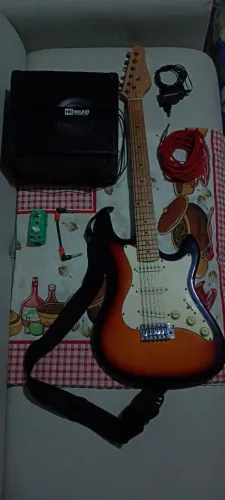 Guitarra Steinberg s-100