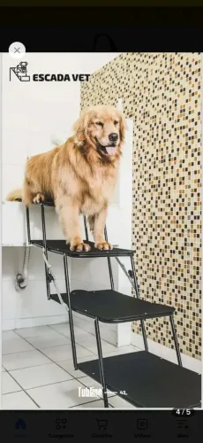 ESCADA PARA PETS