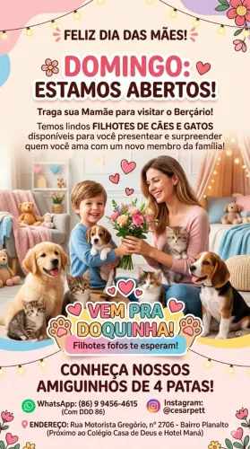 Presente de dia das mães é com filhotes de Yorkshire, trabalhamos com todas raças de cães 