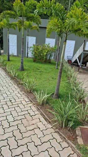 Serviços de jardinagem