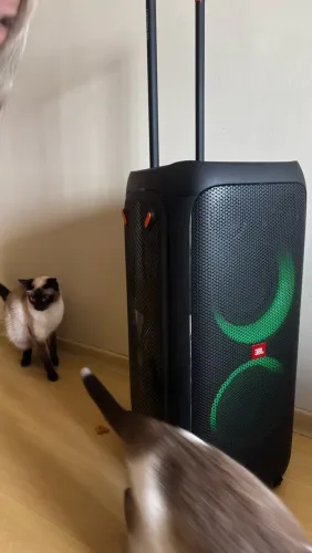 Jbl partybox 310