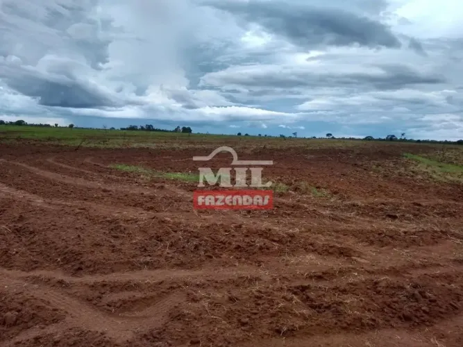 Fazenda 440 Alqueires (2.129 Hectares) Mambai - GO