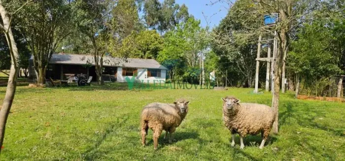 Lindo sítio em Águas Claras, 4000 m² com boa casa, piscina e frutíferas, 1 km do asfalto!