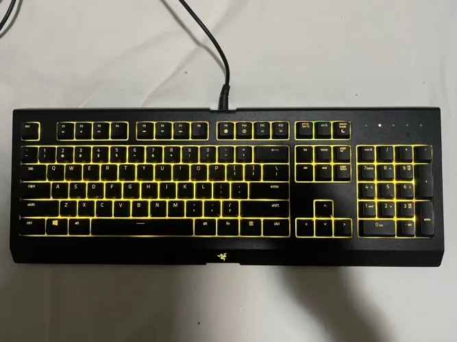 Teclado razer cynosa chroma lite