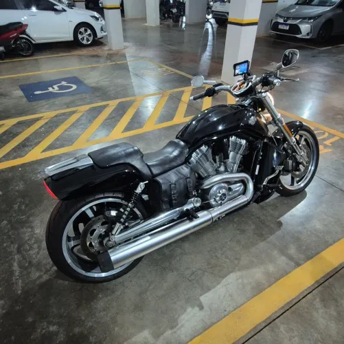 HARLEY DAVIDSON VROD MUSCLE